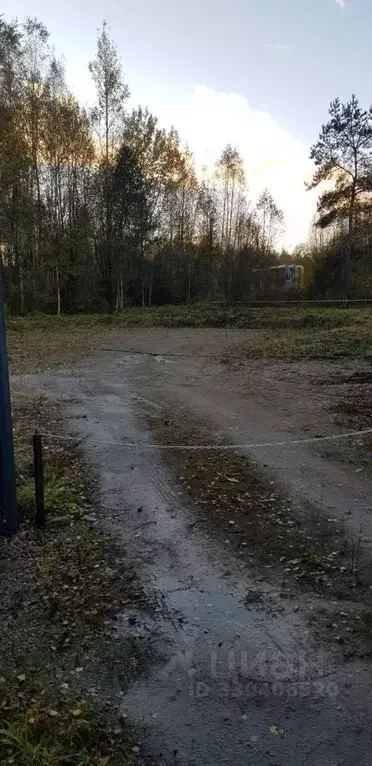 Участок в Ленинградская область, Всеволожск ул. Радужная (8.24 сот.) - Фото 2