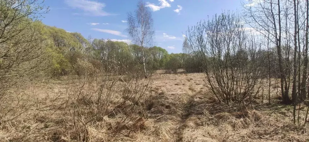 Участок в Московская область, Талдомский городской округ, с. Великий ... - Фото 0