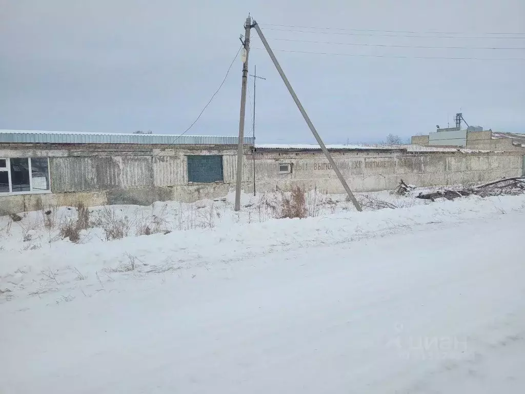 Помещение свободного назначения в Челябинская область, Октябрьский ... - Фото 0