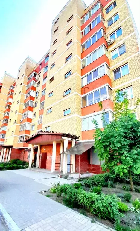 1-к кв. Московская область, Щелково городской округ, пос. Литвиново 13 ... - Фото 2