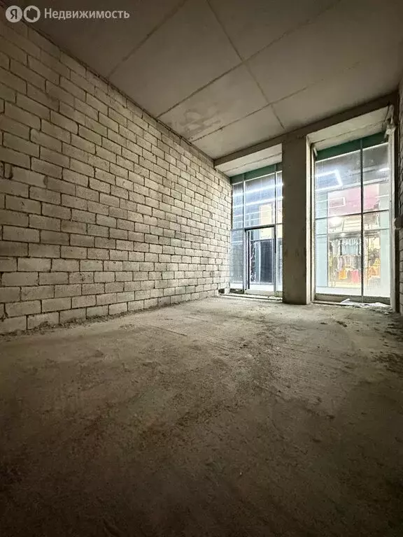 Помещение свободного назначения (30.4 м) - Фото 2