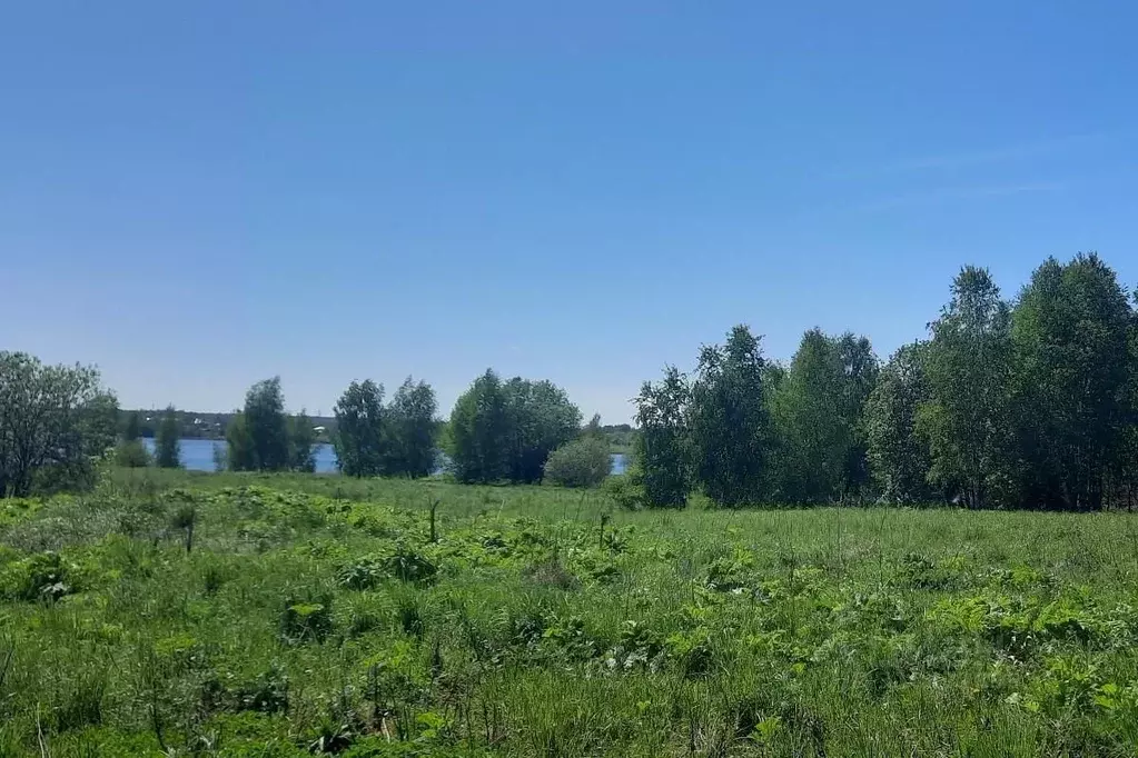 Участок в Московская область, Мытищи городской округ, д. Жостово ул. ... - Фото 0