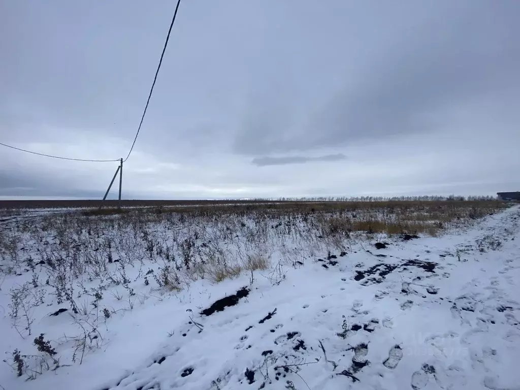 Участок в Самарская область, Сызрань ул. Николая Мочешникова, 43 (10.0 ... - Фото 0