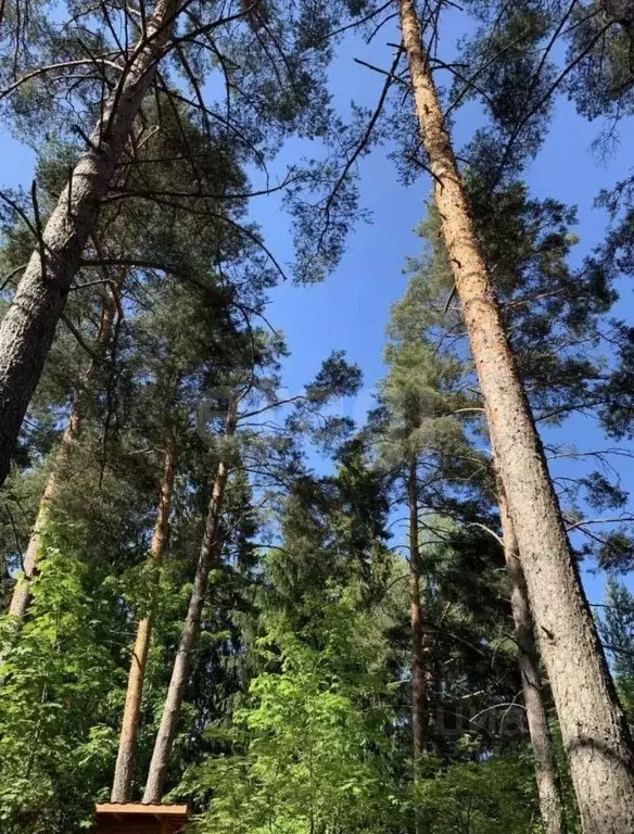 Дом в Ленинградская область, Приозерский район, Ларионовское с/пос, ... - Фото 1