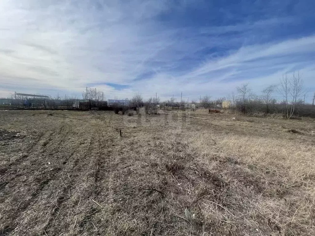 Участок в Крым, Ленинский район, Щелкино городское поселение, Фиал СПК ... - Фото 1