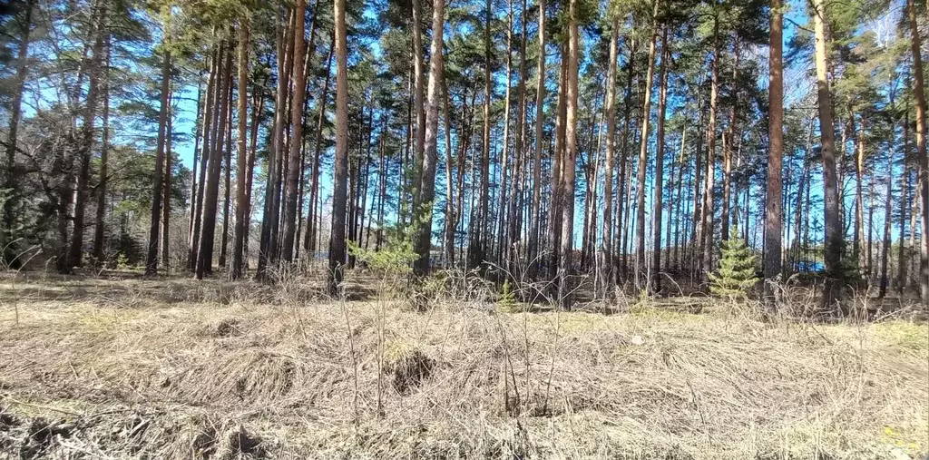 Участок в Свердловская область, Екатеринбург муниципальное ... - Фото 2