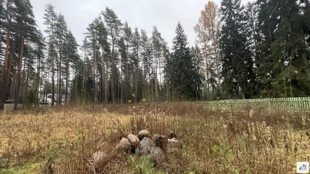 Участок в Санкт-Петербург, Санкт-Петербург, Зеленогорск Курортная ул. ... - Фото 1