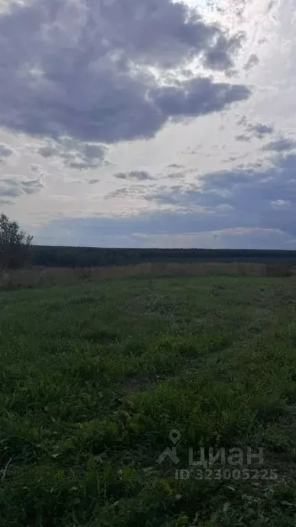 Участок в Марий Эл, Морки городское поселение, д. Балдырка ул. ... - Фото 2