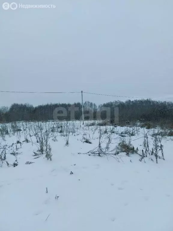 Участок в Морозовское сельское поселение, СНТ Красная Гвоздика (7.18 ... - Фото 1