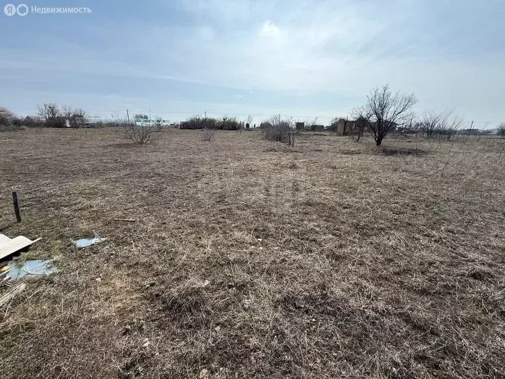 Участок в Урожайновское сельское поселение, СПК Художник (6 м) - Фото 2