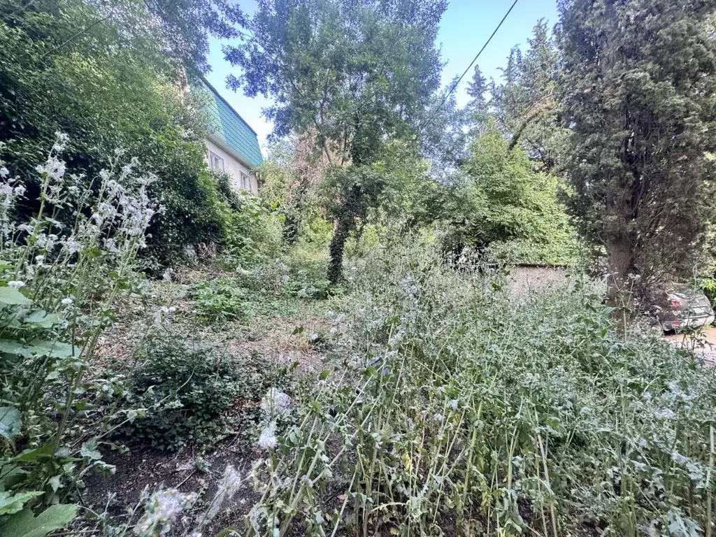 Участок в Крым, Ялта муниципальный округ, Гурзуф пгт ул. Артековская ... - Фото 2