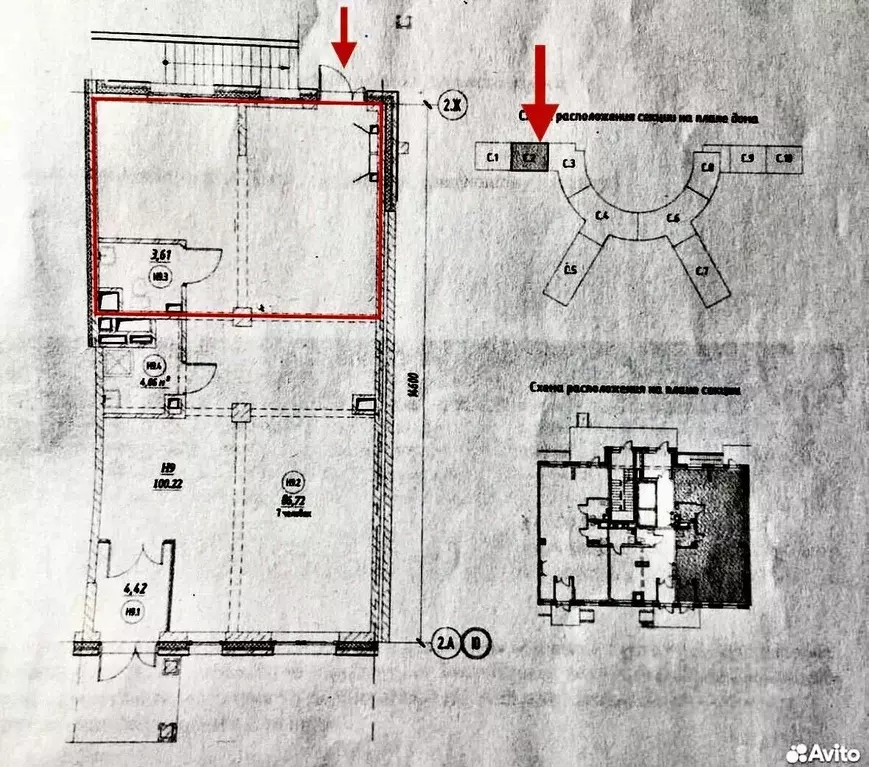 Помещение свободного назначения в Санкт-Петербург ул. Типанова, 23с1 ... - Фото 2