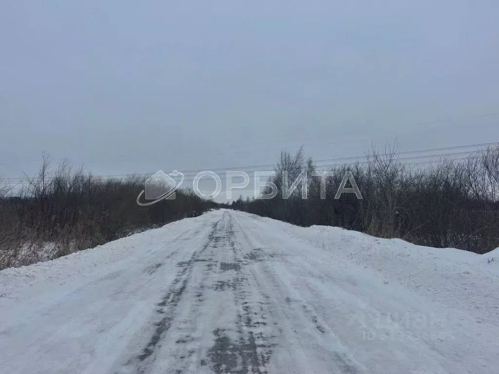 Участок в Тюменская область, Тюмень  (7.2 сот.) - Фото 1