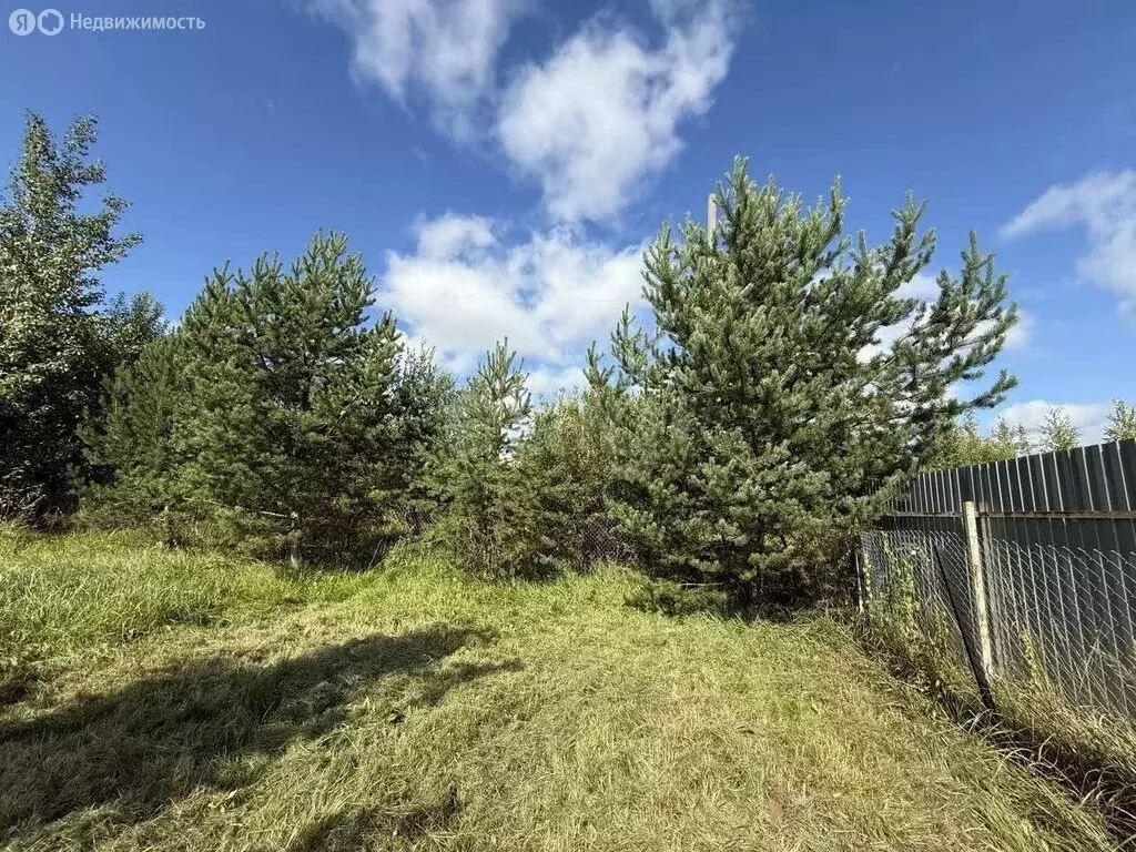 Участок в Вологодский муниципальный округ, деревня Родионцево, ... - Фото 2