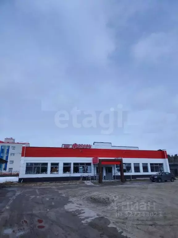 Помещение свободного назначения в Ямало-Ненецкий АО, Муравленко ... - Фото 1