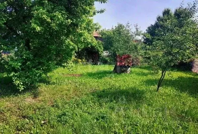 Участок в Калининградская область, Калининград Золотой Петушок ДНТ, ... - Фото 1