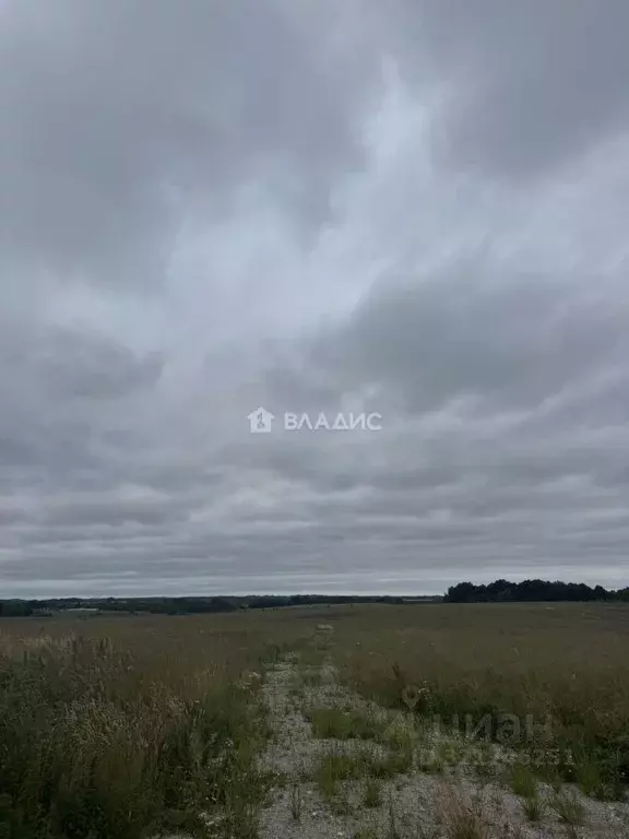 Участок в Калининградская область, Зеленоградский муниципальный округ, ... - Фото 0