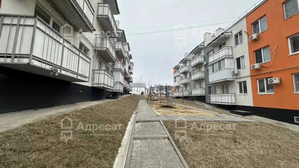 1-к кв. Волгоградская область, Волгоград ул. Степанищева, 47 (26.6 м) - Фото 2