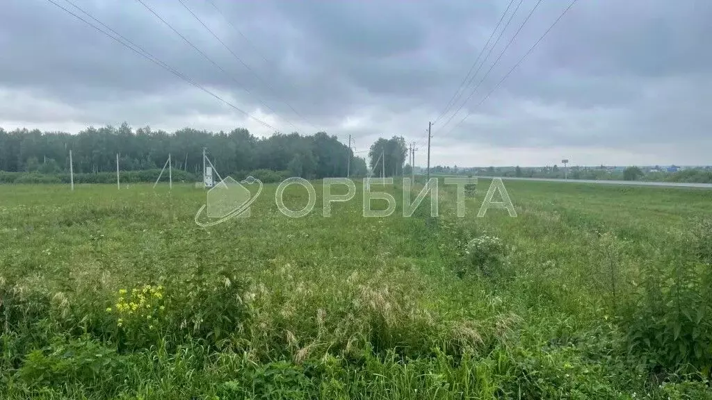 Участок в Тюменская область, Тюменский район, Южный Подъем тер. ул. ... - Фото 1