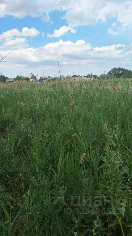 Участок в Крым, Феодосия пер. Казацкий (9.7 сот.) - Фото 1