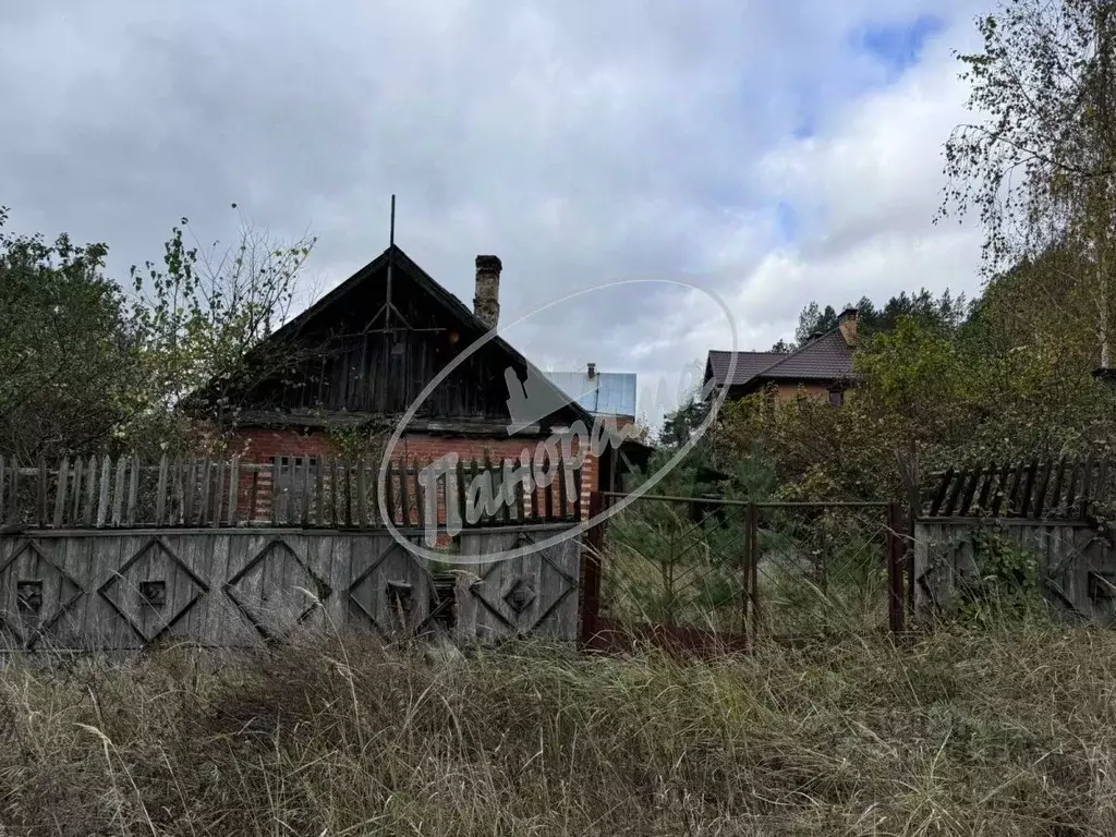 Участок в Калужская область, Дзержинский муниципальный округ, с. ... - Фото 2