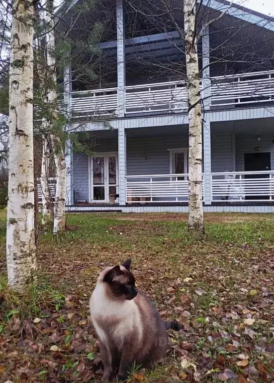 Дом в Ленинградская область, Приозерский район, Раздольевское с/пос, ... - Фото 1