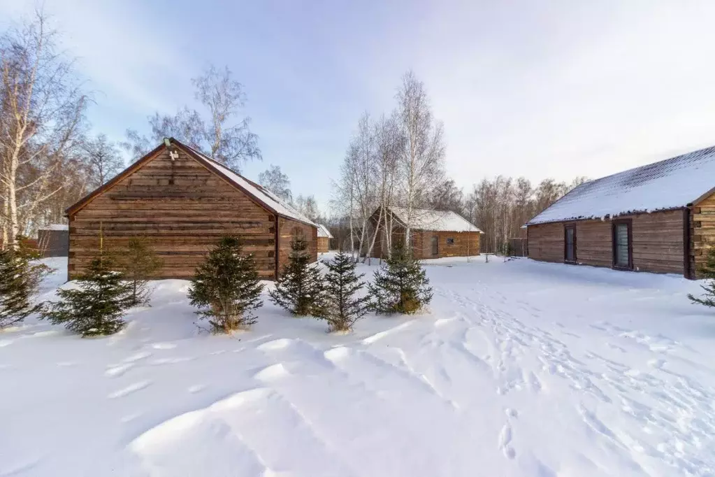 Помещение свободного назначения в Красноярский край, Емельяновский ... - Фото 1