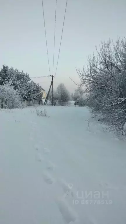 Участок в Ленинградская область, Колтуши Всеволожский район, ш. ... - Фото 1