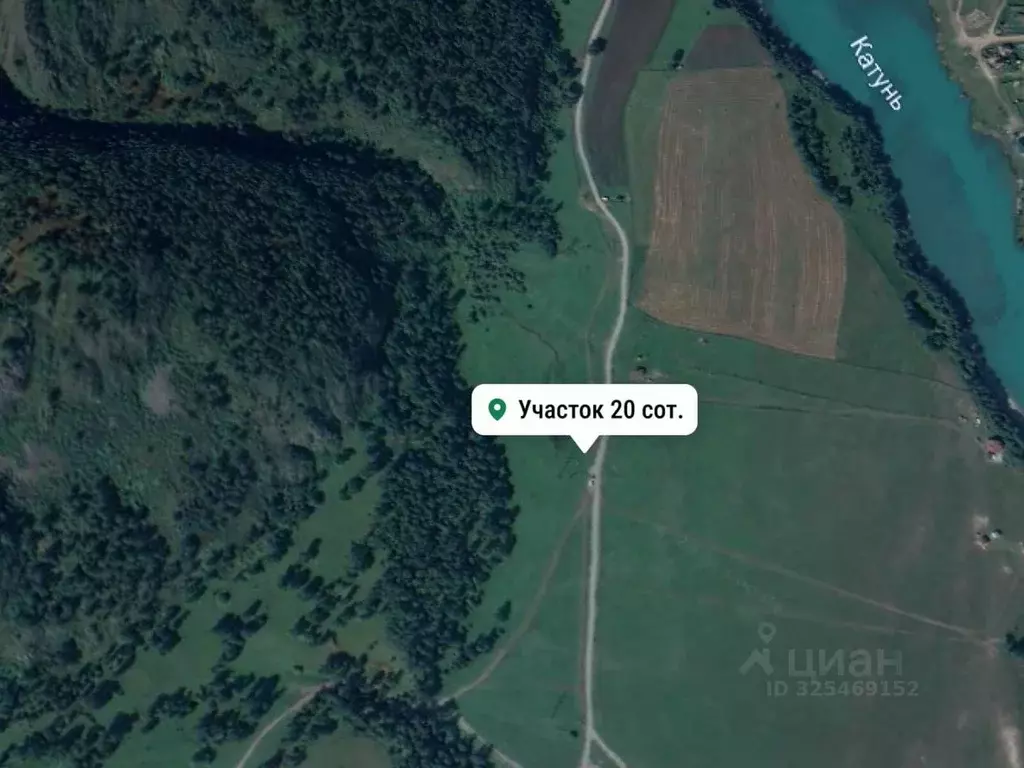 Участок в Алтай, Чемальский район, с. Аюла Центральная ул. (20.0 сот.) - Фото 2