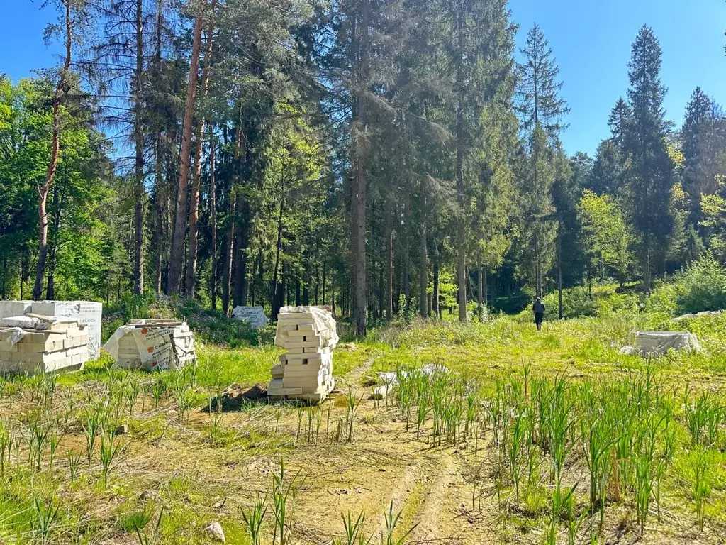 Участок в Московская область, Одинцовский городской округ, с. ... - Фото 1