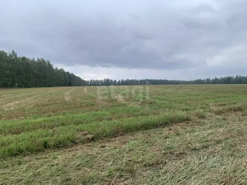 Участок в Курская область, Курск ул. 50 лет Октября, 116Е/6 (9.0 сот.) - Фото 1