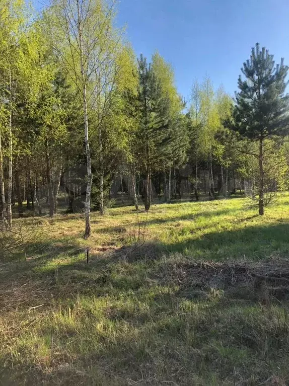 Участок 5,4 сот. (ИЖС) - Фото 1