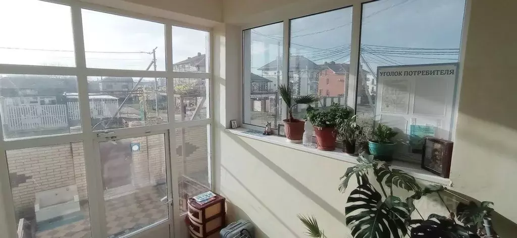 Студия Краснодарский край, Анапа ул. Буковая, 21 (21.9 м) - Фото 1