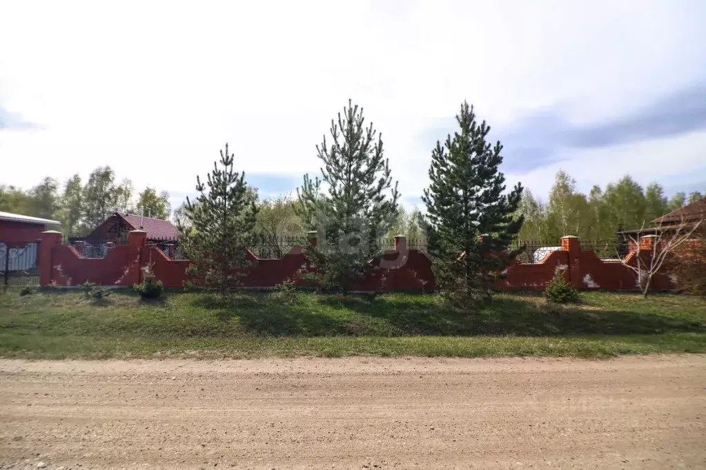 Участок в Алтайский край, Барнаул городской округ, пос. Бельмесево ул. ... - Фото 1