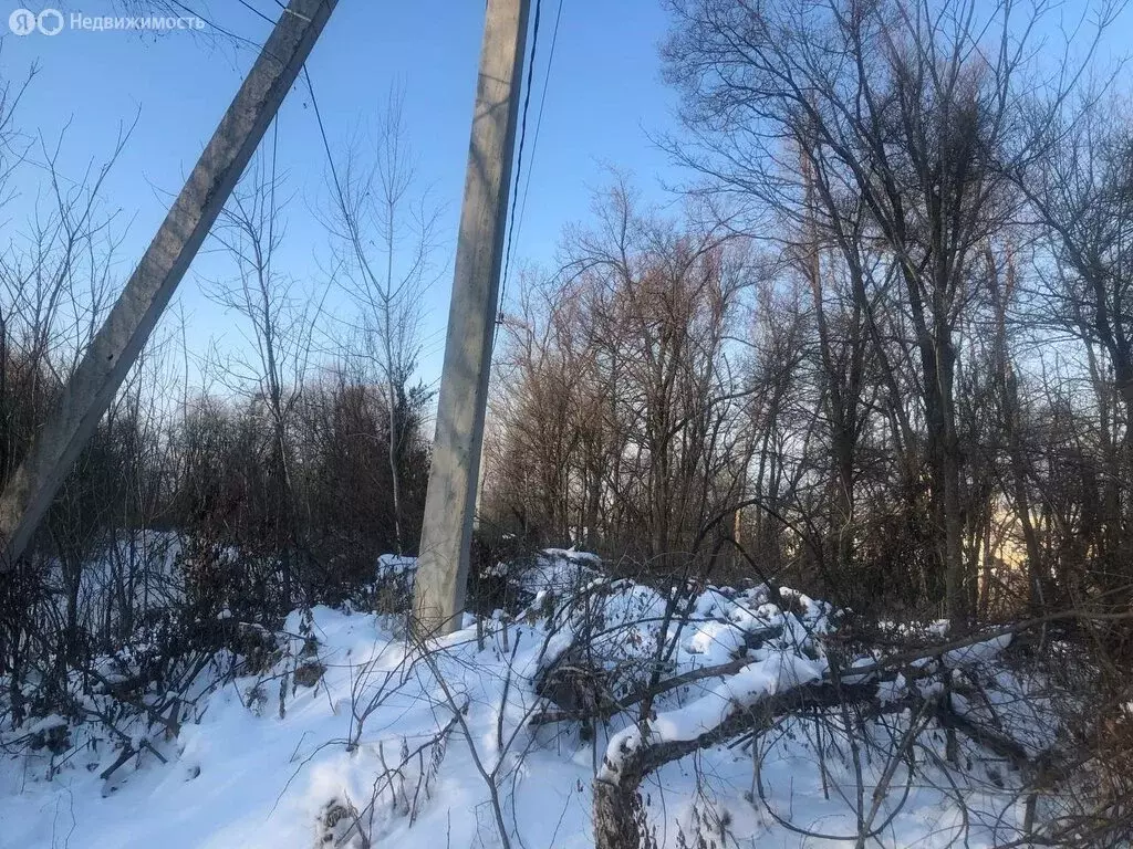 Участок в Артём, микрорайон Лесной-2 (9 м) - Фото 2