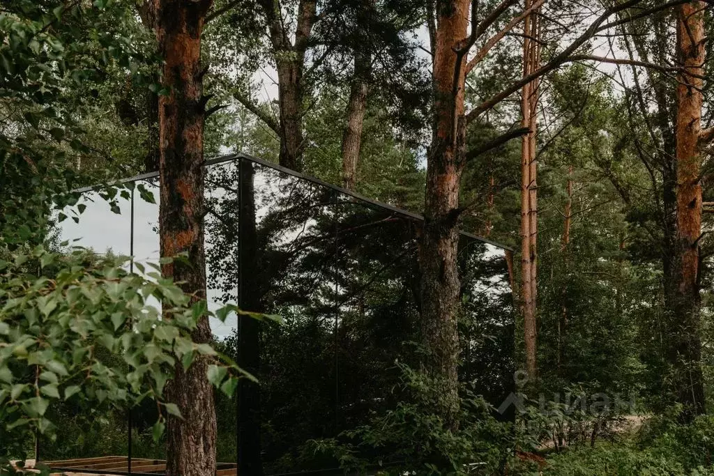 Дом в Ярославская область, Некрасовский муниципальный округ, пос. ... - Фото 1