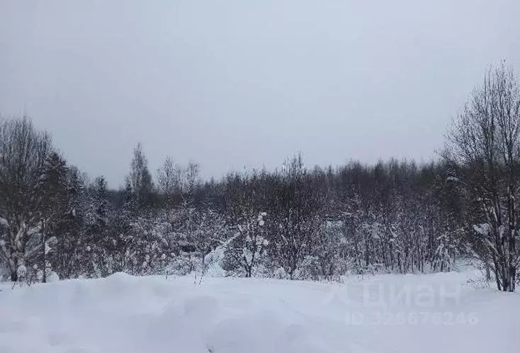 Участок в Московская область, Дмитровский муниципальный округ, д. ... - Фото 1