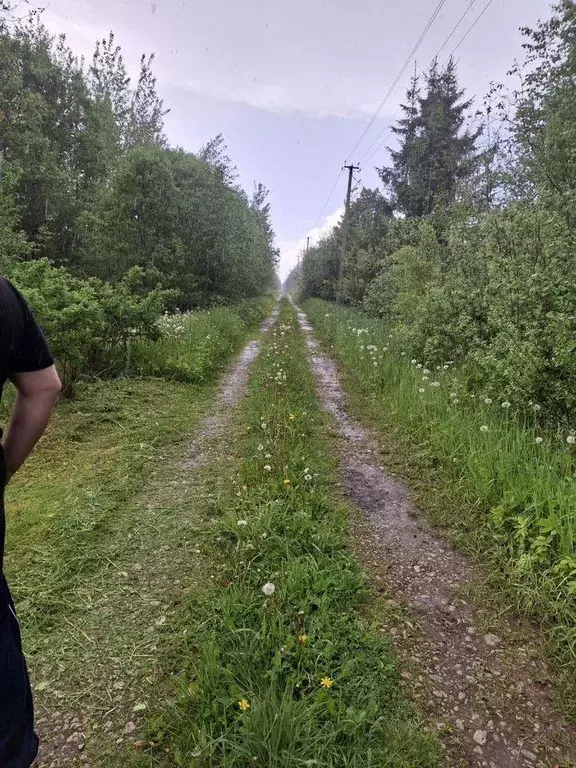 Участок, 14 сот., сельхоз (снт или днп) - Фото 1