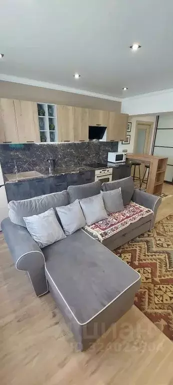 1-к кв. Сахалинская область, Южно-Сахалинск Фабричная ул., 14А (65.0 ... - Фото 2