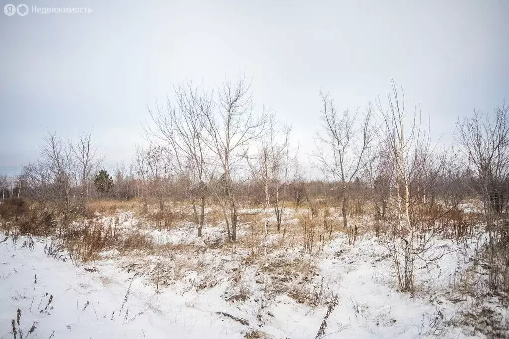 Участок в Искитимский район, Евсинский сельсовет, деревня Ургун (20 м) - Фото 1