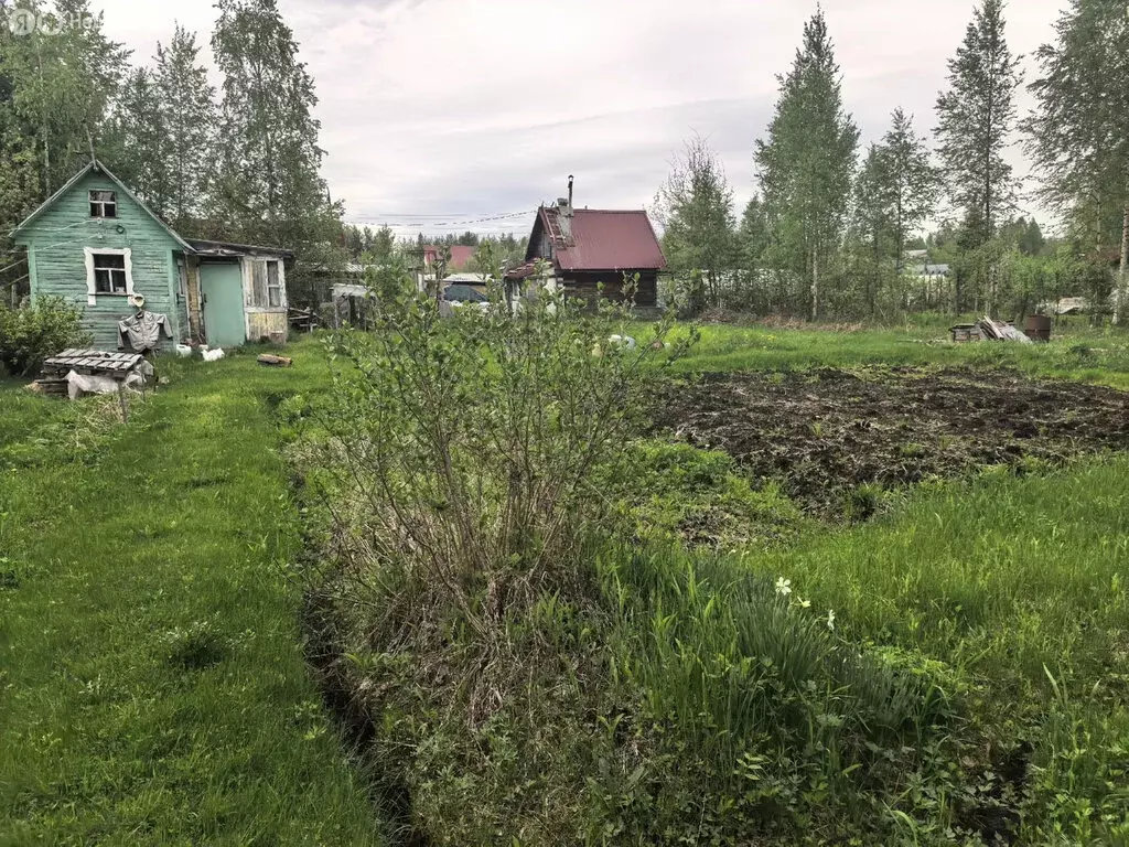 Дом в Архангельская область, Приморский муниципальный округ, СНТ ... - Фото 2