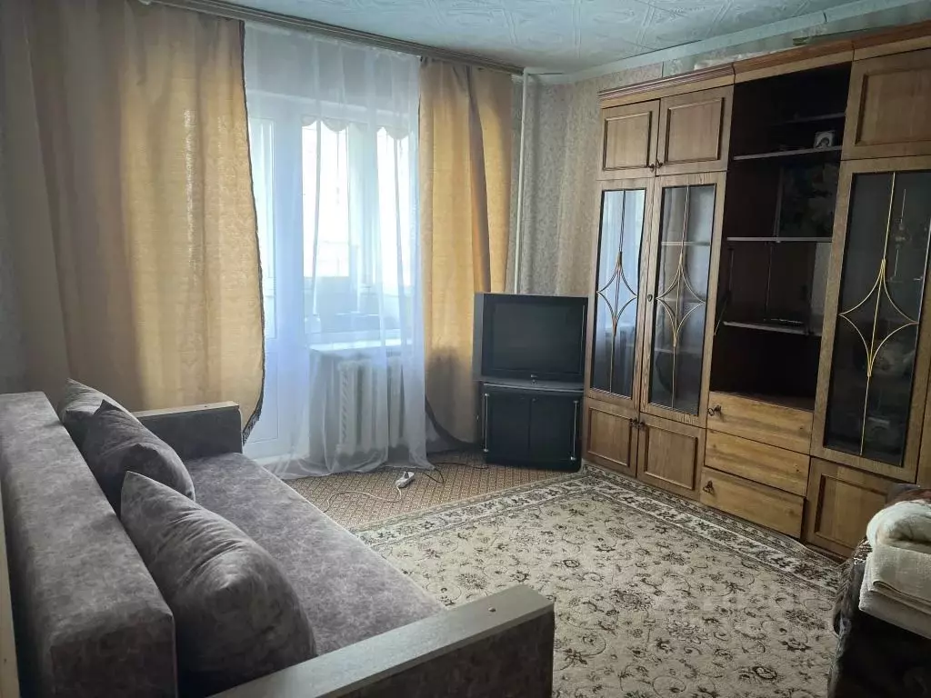 2-к кв. Еврейская автономная область, Биробиджан Набережная ул., 22А ... - Фото 2