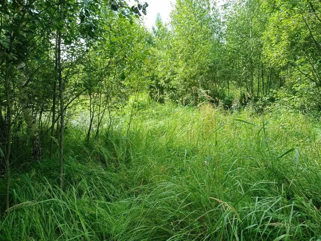 Участок в Московская область, Воскресенск городской округ, д. Бочевино ... - Фото 1