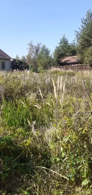 Участок в Ленинградская область, Ломоносовский район, Пениковское ... - Фото 2