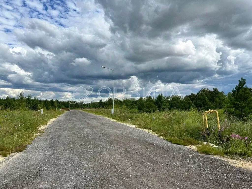 Участок в Тюменская область, Тюменский район, с. Кулаково тракт ... - Фото 0