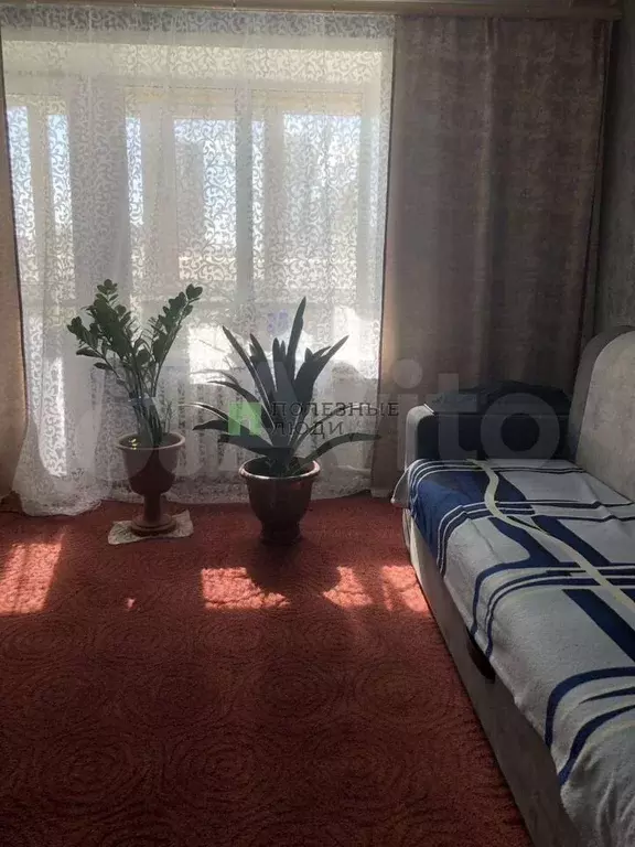 1-к. квартира, 30 м, 1/5 эт. - Фото 1