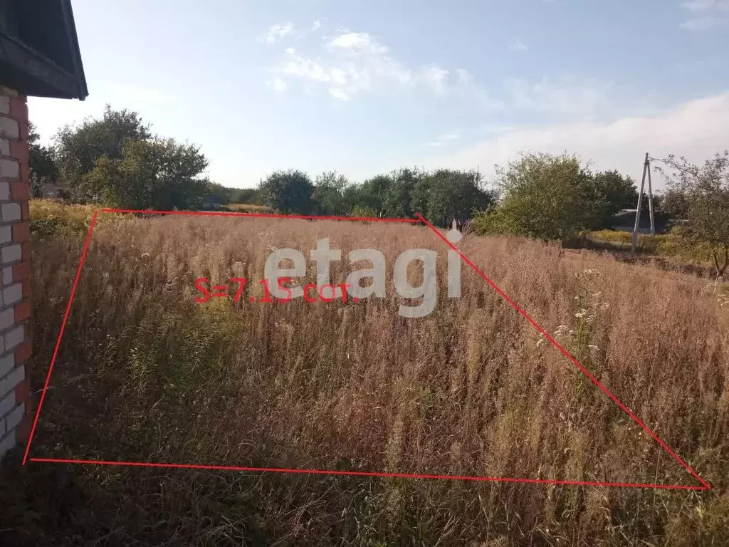 Участок в Брянская область, Брянский район, Мичуринское с/пос, ... - Фото 1