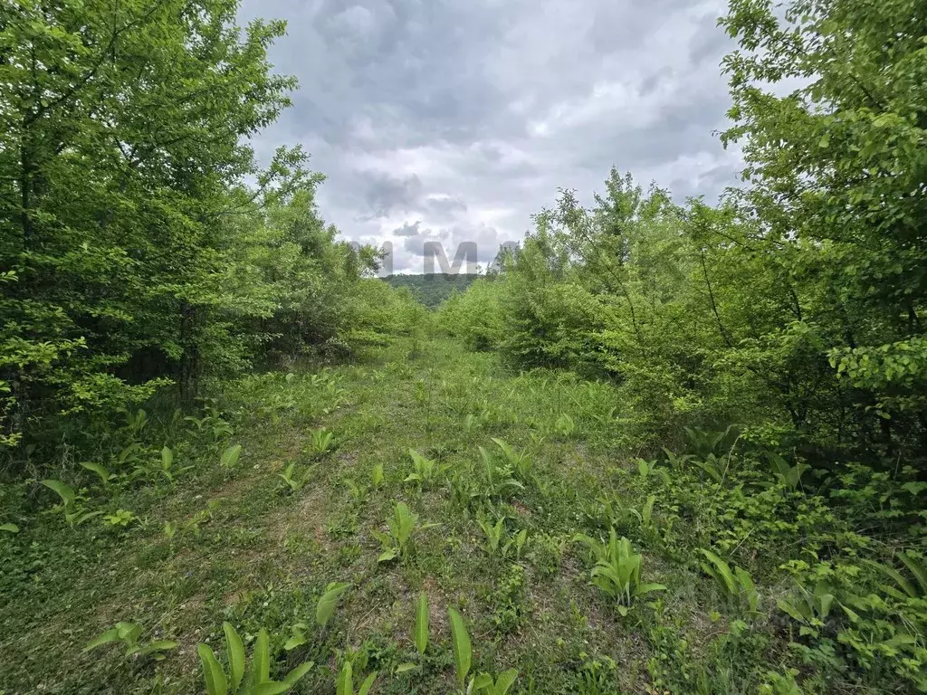 Участок в Адыгея, Майкопский район, Даховская ст-ца Советская ул., 20 ... - Фото 1