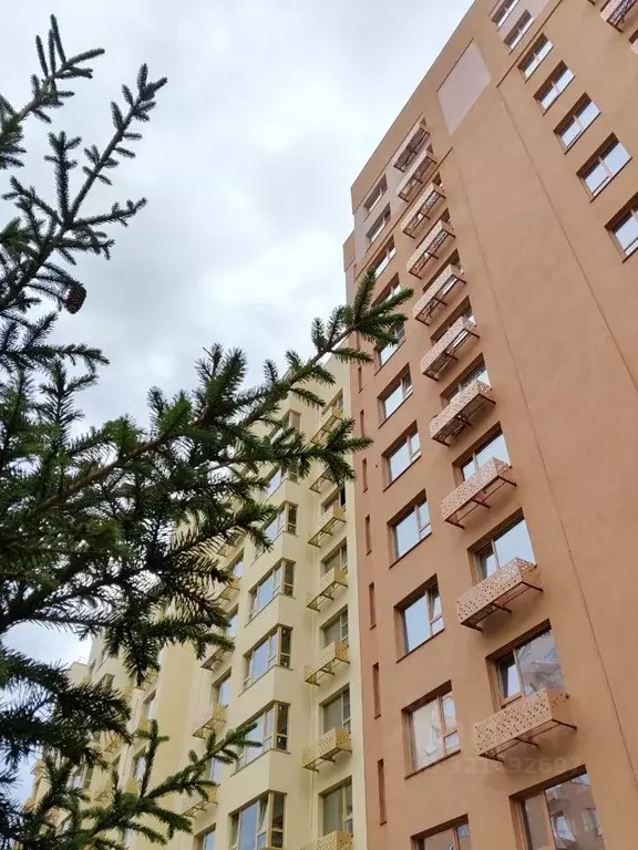 Студия Алтайский край, Барнаул городской округ, Южный рп  (29.3 м) - Фото 0