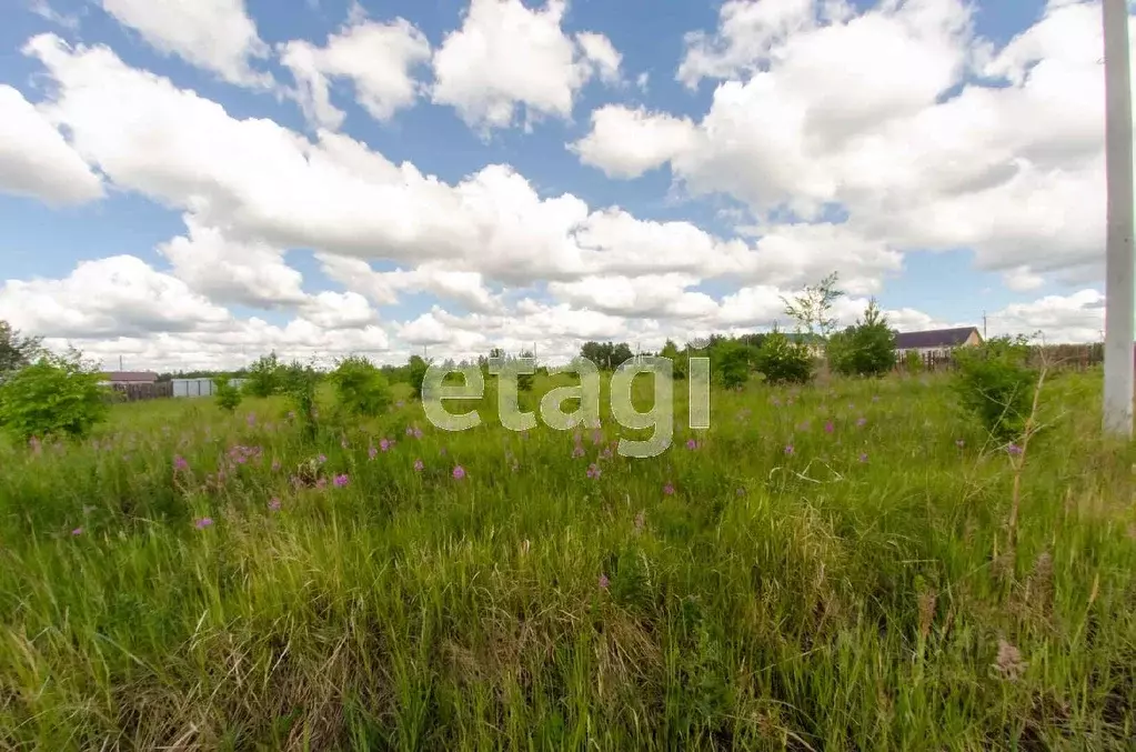 Участок в Курганская область, Шадринск ул. Барыкина (10.0 сот.) - Фото 0